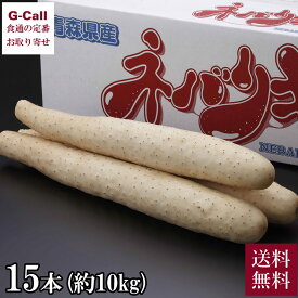 JAゆうき青森 ネバリキング 15本 約10kg 四国/九州・沖縄送料別 ながいも 長芋 大和芋 とろろ 芋 いも ネバリスター 青森県 根菜 野菜 粘り 煮物 炒め物 贈答