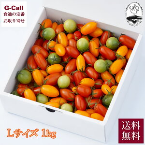 Inakakara Farm to Table JsIg}gZNg LTCY 1kg 12{`6{o ws  g}g Ƃ܂ ~jg}g  Mtg Yn