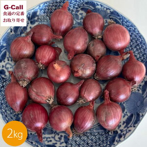 富良野産 赤ペコロス 2kg 10月下旬〜2月上旬発送 指定日不可 四国/九州・沖縄送料別 玉ねぎ 小玉ねぎ プチオニオン 野菜 北海道 富良野 うすだ農園 産地直送