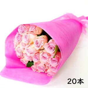 Ԗt[Q[g oԑ 20{ sN   Mtg v[g  j LO ؂ȓ