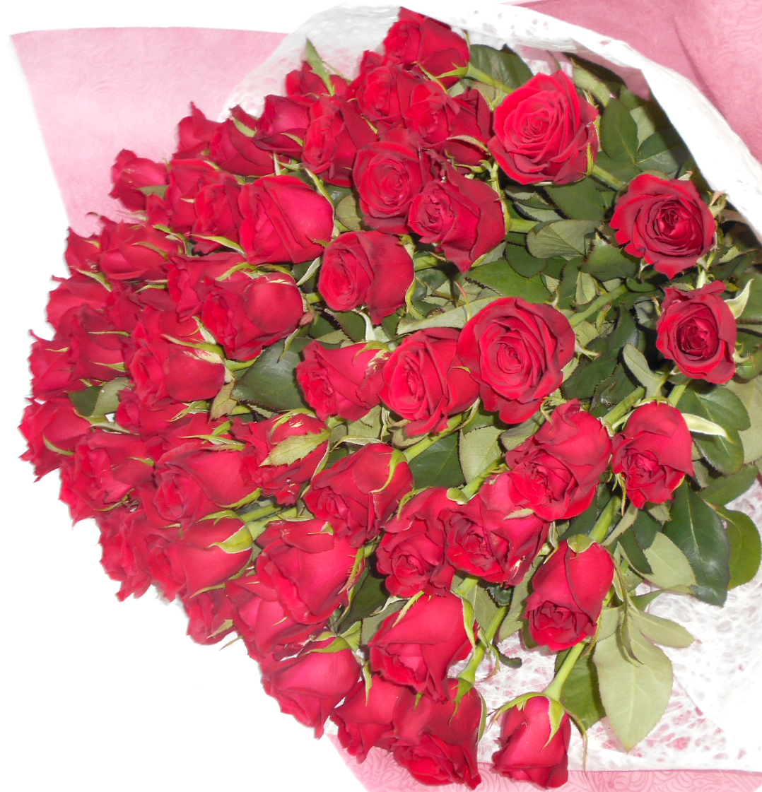 永遠の人気商品 花門フラワーゲート 花束 メイルオーダー 還暦用赤バラ ６０本 生花 ギフト お祝い バレンタインデー プレゼント 贈答 大切な日 記念日