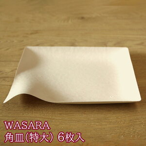 WASARA ̊ pM  6  aM ĂȂ p[eB[ ĝ H  T  ی  R|X^u [J[