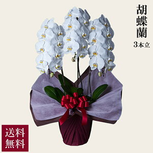 Ӓ X^_[h 3{ zCg  alon alon AA t[Mtg  蕨  3{  Yn v[g Љv