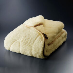 毛布 Sofwool」の人気商品一覧 | 安い商品を通販サイトから探す - 価格.com