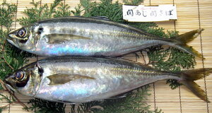 啪Ƌg ֎xX ւイイZbg 80g 4  AW イイ