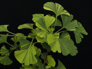  C`E ` ڏciEԖ؁ER쑐