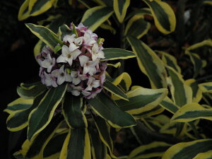 [O ](5`6}.XtC^~L)ciEԖ؁ER쑐