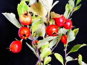 TUV[B(_})Rq]@@}lciEԖ؁ER쑐