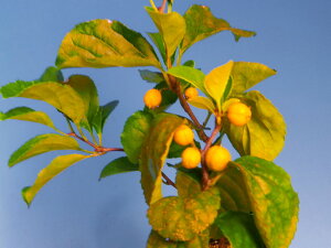 [cEhL]@t. ciEԖ؁ER쑐Ei~