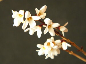 c()̖(ʖ ME)`Wى x. cԁEiEԖ؁ER쑐