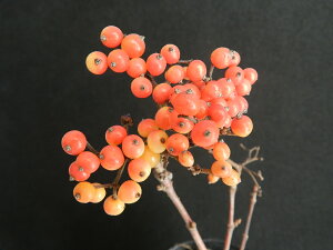 K}Y~ [gLL]g`IW(F蕪)@c@@iEԖ؁ER쑐