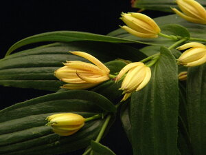 d IɃWEEzggMX[IɉO]@c .tC^~L.tȂč܂LiEԖ؁ER쑐