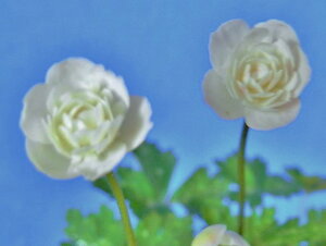 ֑ d(q畗) [H(ӂ΂Â)]@x. ()ciEԖ؁ER쑐