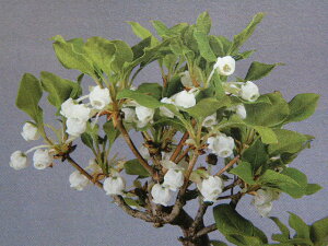 [cNhE_(ccW)]@[..@t. ɏc(R6 })iEԖ؁ER쑐Ei~