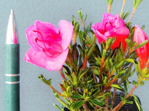 TcLccW[]@[ t.gC(󔼊Ǐ)t@}ŏciEԖ؁ER쑐