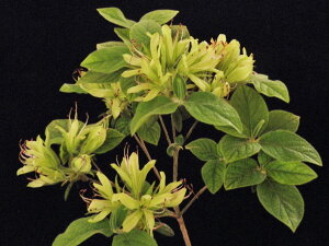 `ccW[Ӓ]@(}20Z`O)ciEԖ؁ER쑐