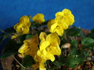 [d h X~]@x. ciEԖ؁ER쑐