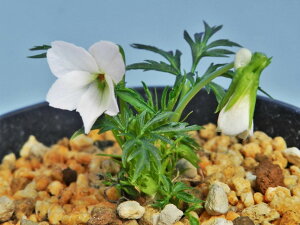 [GCUX~]@ ԁ@x`x. ciEԖ؁ER쑐