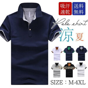 y2w10%OFFzStVc |Vc Y TVc  POLOVc jtH[ X|[c  J[zF StEFA z ̓