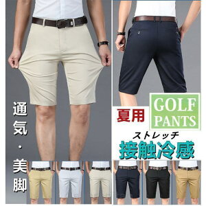 Stpc Y@StEFA@n[tpc Y{  Lkǂ n X Xg[gpc rWlX St IV@̓