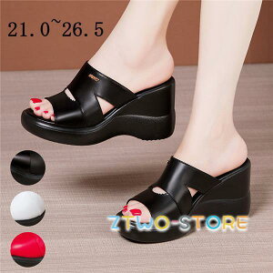 T_ fB[X ~[ T_  EFbW\[T_ q[8cm ăT_ nCq[