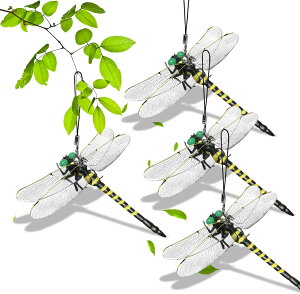 �u2025�N�v�V�Łv�������g���{�N �������O�b�Y �Q���V�G ���悯�΍� �X�g���b�v �����A�� �{���݂��� �ϋv������ �l?�����̃v�����f��?