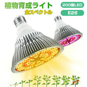 �A���琬���C�g LED �琬���C�g �A�� ��� ���C�g 200��LED E26���� �d�� ��c���C�g �A���琬 �ϗt�A�� �����A�� �t���X�y�N�g�� 120W