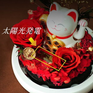 i L ̓ Mtg vU[uht[ ̓@ KX ͂Ȃ ỉ iCgCg Mtg{bNXt  a