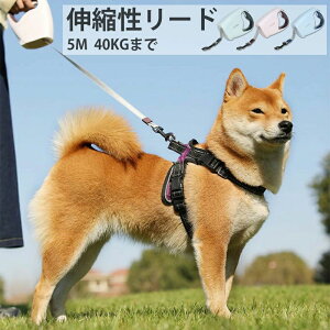 Lk[hp Xgbvp[h  [hpnh LEDCg Ў pi [h 5[g Lk[h O[h 莮