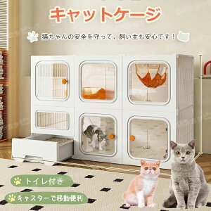 y21ޑIzL P[W LbgP[W 2i/3i/4i ^ LpQ[W ybgP[W P[W LX^[t L T[N Lbgn