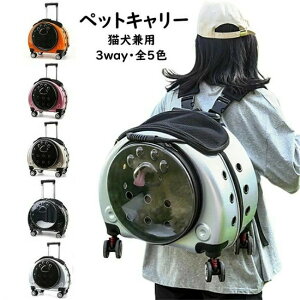 yԌ|Cg10{zybgL[obO gN L[obO LL[obO Lp p ybgp  INS lCi