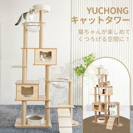 【特典マット付き】【楽天1位受賞】キャットタワー 猫タワー キャットタワー据え置き 6階建てタワー 透明のスペースカプセル 大きくて