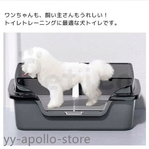 �� �g�C�� �g���[ �g���[�j���O ���� ����h�~ ���̂��t�� ��������h�~ ���p ���^�� ���^�� �g���[�e�� �g�C���p�i �y�b�g �g�C�� �g��