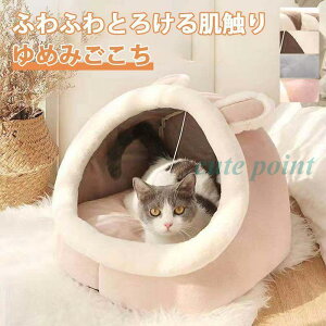 LnEX LbgnEX Lxbh h[ L ӂ xbh h[^ ~ ~p ybgp  L ybgxbh ybgpi NbV