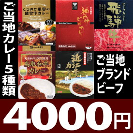 地カレー家特選☆ブランド牛4000円セット☆【RCP】【ご当地カレー/レトルトカレー】(セット商品)【ギフト/景品/賞品/贈答/お祝い/内祝い/お中元/イベント/結婚式/二次会/暑中見舞い】レトルト 詰め合わせ