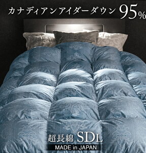 ~N[|5 Hт̎ Hѕzc Ji_Y AC_[_E95% { Z~_u O 100 ̃Lg  300Te 5Nۏ Z~_uO AC_[_E AC_[ 