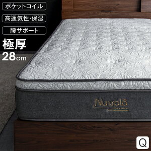 Ɍ28cm s[gbv |PbgRC }bgX NC[ AGHn [̈UɗDꂽ12w\] [T|[g 3][] s[gbv}bgX }bg |PbgRC}bg R