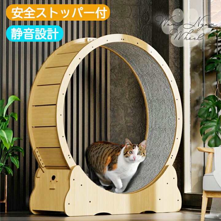 楽天市場】キャット ホイール 猫 わんにゃんホイール ランニング  