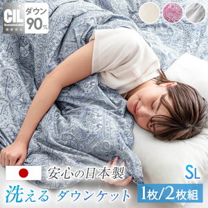 安心の日本製 洗える ダウンケット ホワイト ダックダウン90% 0.27kg 1枚 2枚組 シングル 羽毛 羽毛布団 羽毛肌掛け布団 布団 消臭 抗菌 防ダニ ウォッシャブル 肌掛け布団 肌掛けふとん 布団