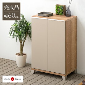 《新色BE追加》 下駄箱 完成品 コンパクト シューズボックス 大川家具 幅60 高さ85 ロータイプ 消臭・脱臭 薄型 スリム 収納 靴入れ シューズbox 洗える 靴箱 扉付 玄関収納 キャビネット 下足箱 木製 シューズラック 国産 ブラウン ホワイト 白
