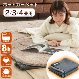 保温性/耐久性アップ ホットカーペット タイマー付き 防ダニ 電気カーペット 暖房器具 暖房 長方形 2畳 3畳 4畳 176×176 195×235 195×290 床暖房カーペット ホットマット 電気マット 足元暖房 電気ホットカーペット 電気 ホット カーペット 冬 暖か