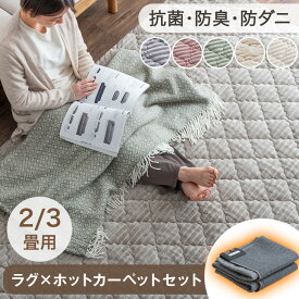 ラグ+ホットカーペット2点セット 2畳 / 3畳用 ホットカーペット セット 防菌 防臭 防ダニ 2畳用 3畳 滑り止め付 ラグ ラグ付き 床暖房カーペット 電気マット 足元暖房 カーペット 正方形 オールシーズン 絨毯 ストライプ フランネル