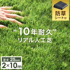 超高密度 防草シート付き 人工芝 2m×10m 48本 セット 芝丈25mm U字ピン 10m 2m ピン 高耐久 リアル人工芝 52万本/m2 人工芝ロール 人工芝生 防草シート 屋上 ベランダ 庭 ガーデン 芝 芝生 おしゃれ 【超大型】【後払/時間指定NG】