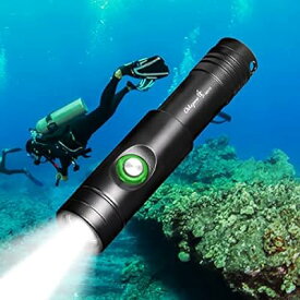 WD12 IPX8 Max 1050ルーメン ダイビングライト 水中ライト プロ仕様超高輝度 水中懐中電灯 IP68防水 水中100メートル使用可能