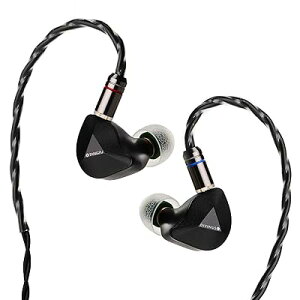 TANGZU x DIVINUS FUDU VERSE1 3 ハイブリッドドライバーインイヤーモニター、ZEN シリーズ 10mm DD+ 2BA インイア式のイヤホン IEM 3D プリントシェル付きインイヤーイヤホン (4.4mm, Black)