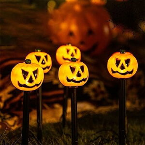 ڂ჉Cg K[fCg nEB[ \[[Cg 5 in 1 nEB XgOCg nEB v ߍݎ O h _  ȃGl Ɩ 