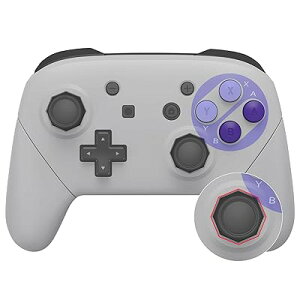 vRswitchɑΉpIN^SiQ[gXeBbNfUCnEWOVFAp^[switch vRɑΉpvR P[XA{͕̂tĂ܂yNVbNSNESX^Cz