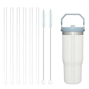�v���X�`�b�N�X�g���[ Stanley Iceflow 30�I���X�^���u���[�p 6�{�p�b�N �����p�N���A�X�g���[ �X�g���[�N���[�i�[�u���V2�{�t�� �ė��p�\�ȃX�g���[ Stanley 30�I���X �A�C�X�t���[�t���b�v�J�b