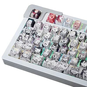 Aj L[Lbv 108 PBT ،^ OEM Cherry MX SwitchJjJL[{[h keycaps (obNCg)