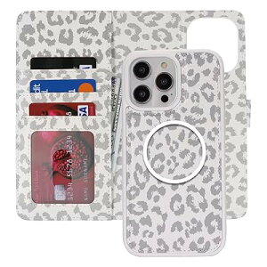 for iPhone 14 Pro Max P[X蒠^ MagsafeΉCX[d for iPhone14 Pro Max 2in1 gуJo